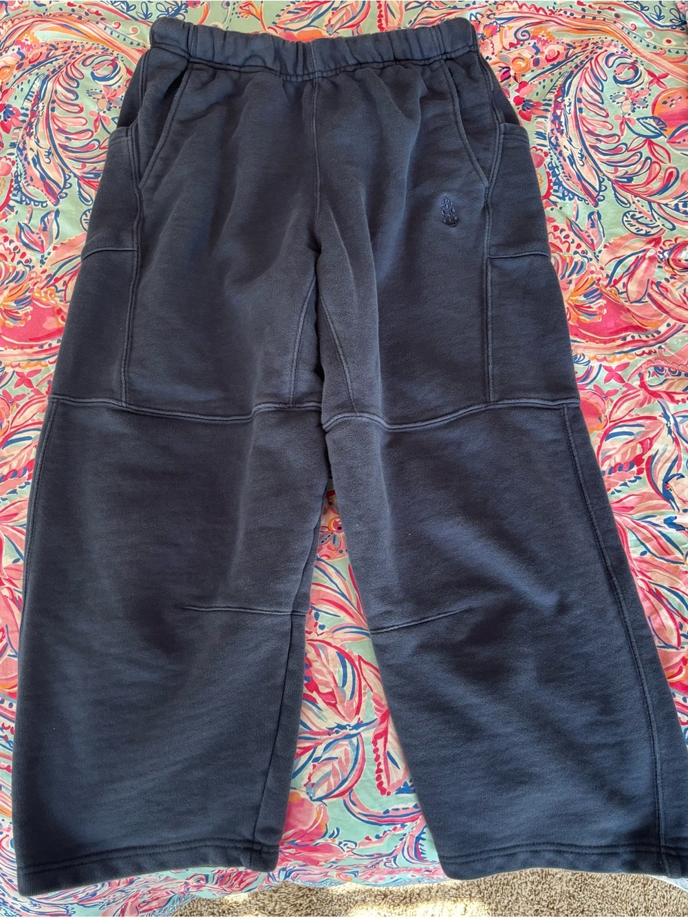 Free people cropped wide-leg sweatpants.